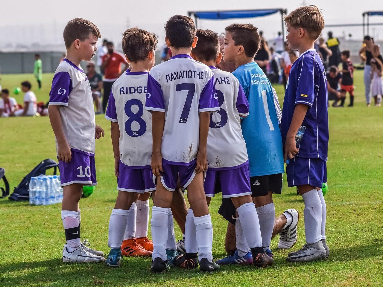 DDOS在线攻击平台|鲸鱼视频.app详情下载教程