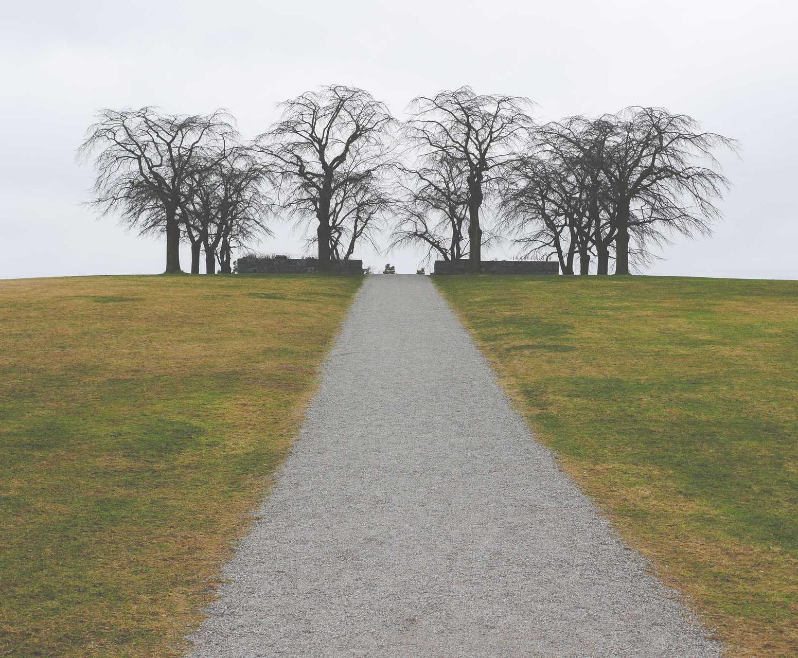 电销电话手机卡：实名认证如何保护青少年在线安全？