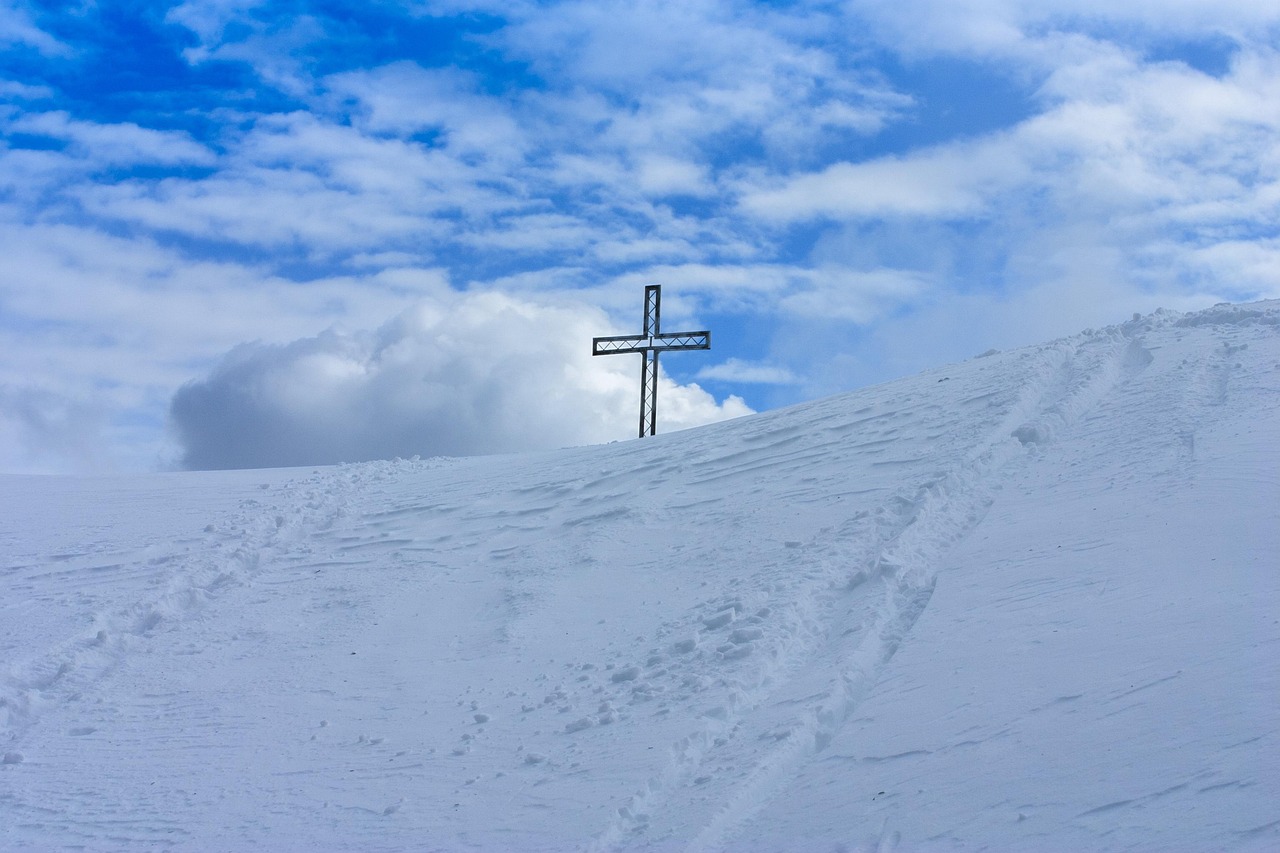 京东云实名账号：详情下载教程彩牛APP