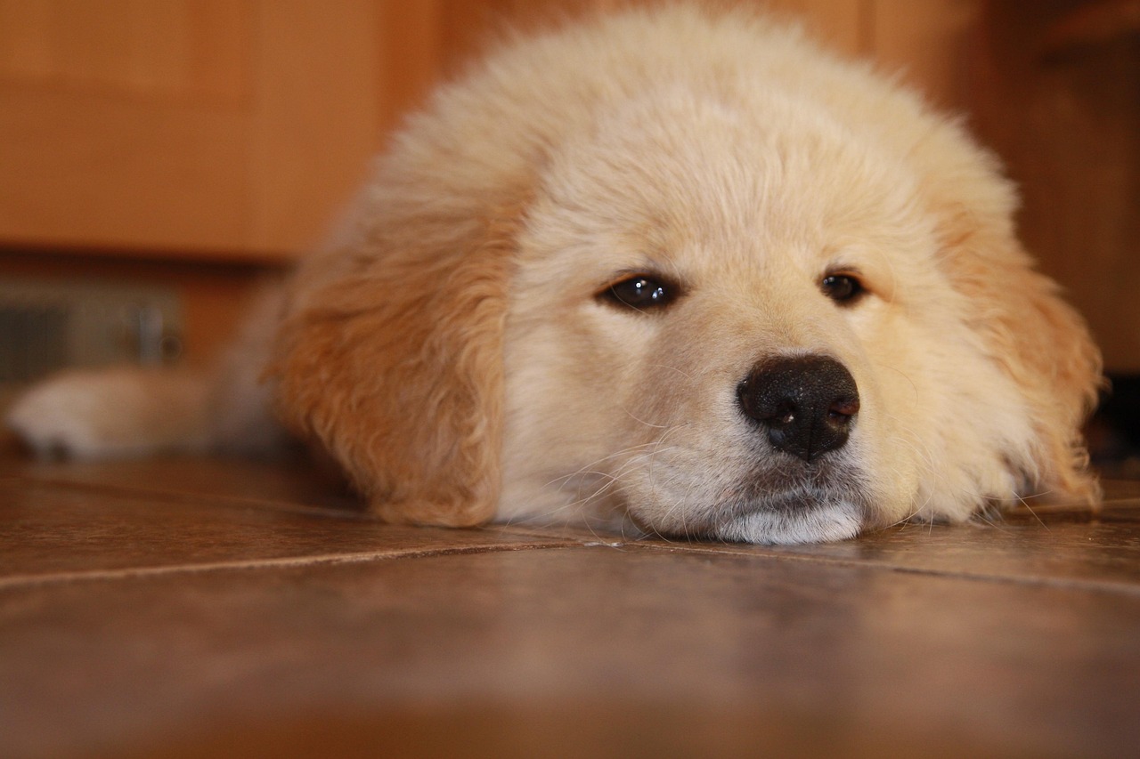 聚名网实名账号：乐清个体工商代理公司注册