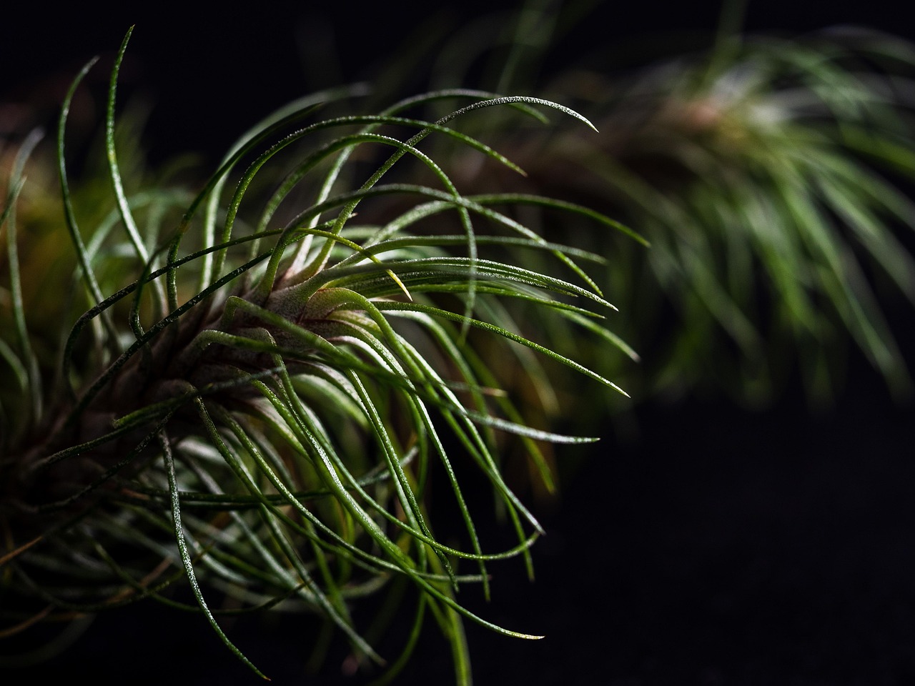 三五财富卡实名账号：购买农村房屋平台