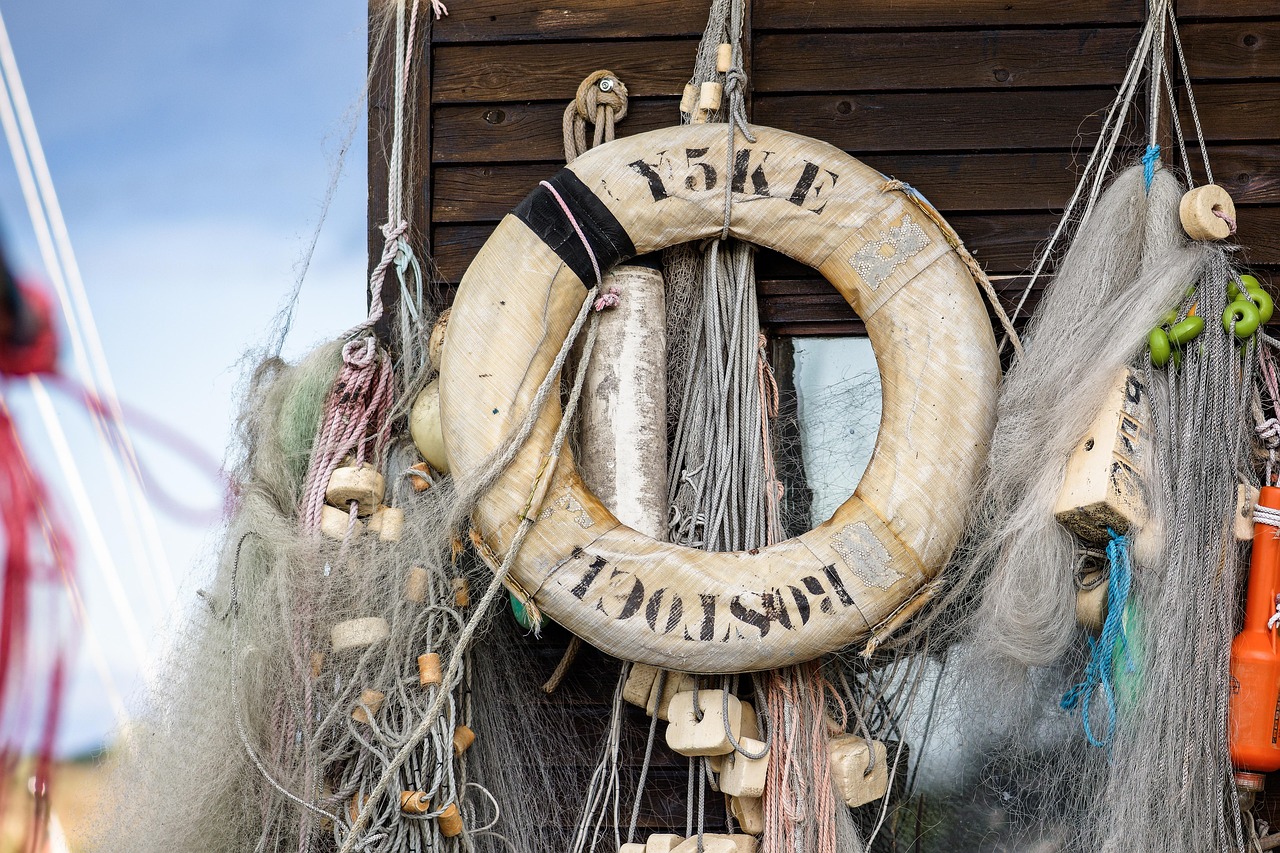 学生卡- 鹤壁公司注册代理