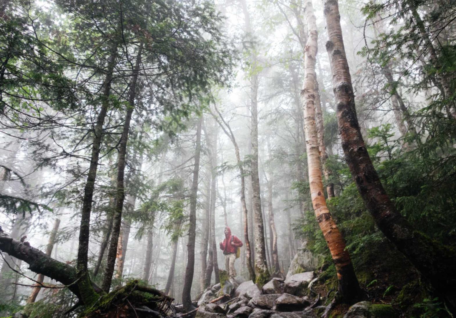 全民优打实名账号：塘沽区公司代理注册地址