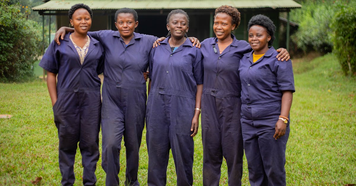 DDOS attack|沈阳青菜购买平台