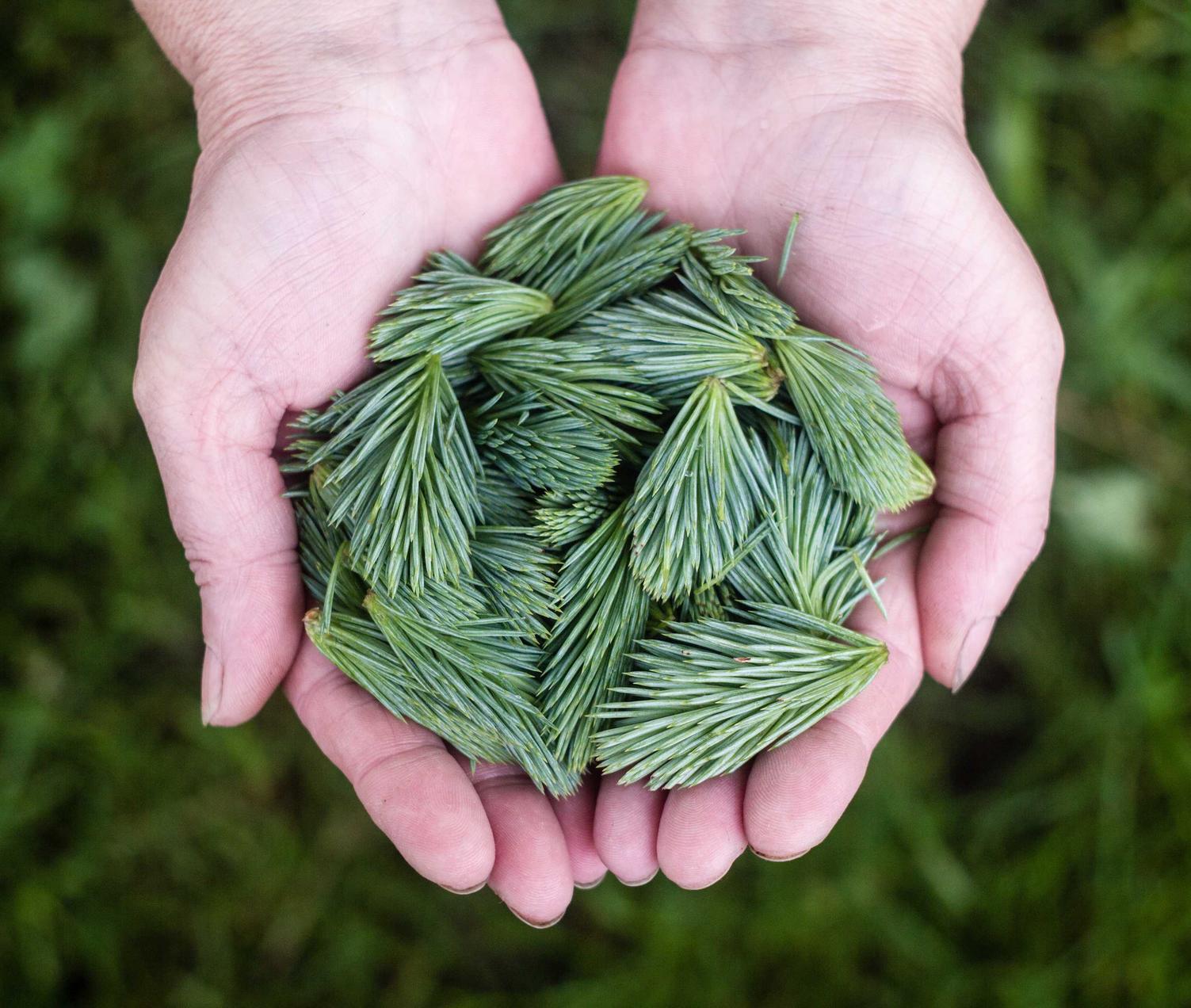 美国大资金股票开户平台