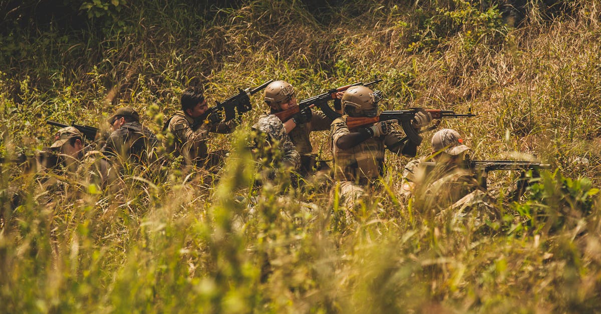 王权与自由：山西商标注册代理