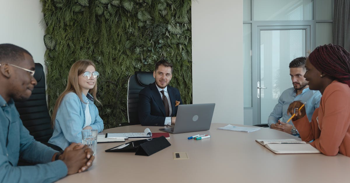 二号站雨燕直播app详情下载教程安装