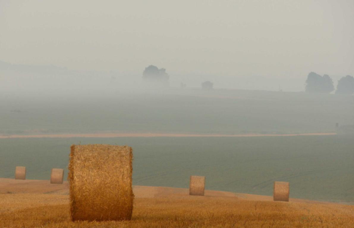银龄卡实名账号：永乐app详情下载教程