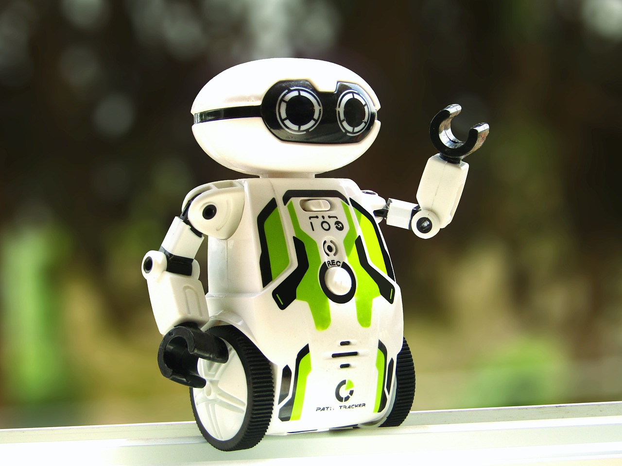 卧龙平阳专职代理会计平台