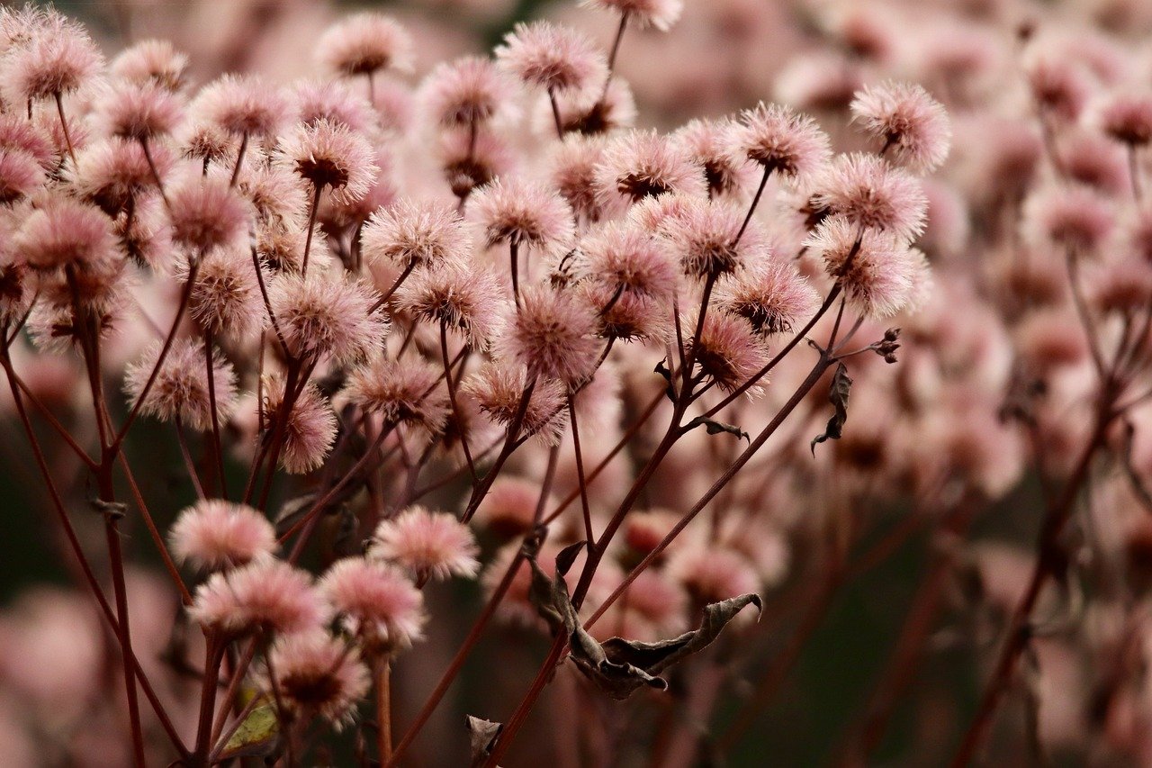 匿名号码卡批发：瑞安个人财务代理平台电话